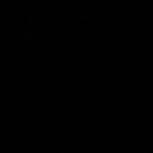 Meet your Posher, Naysaíres